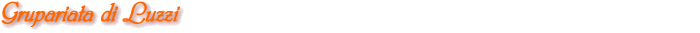 Grupariata di Luzzi