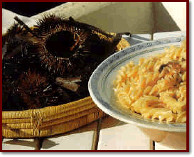 Pasta ai ricci di mare