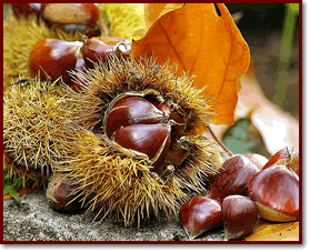 Pasta e castagne