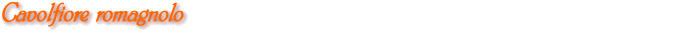 Cavolfiore romagnolo