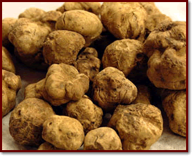 Crostini ai tartufi