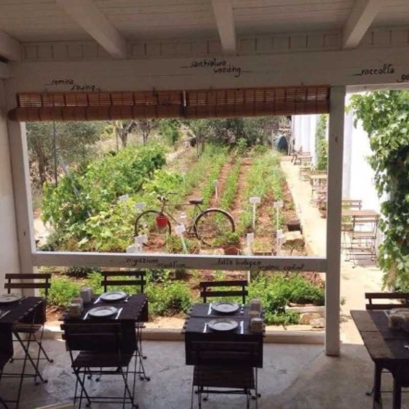 Illustrazione provvisoria di un ambiente di ristorazione; non ritrae Trattoria Terra Madre